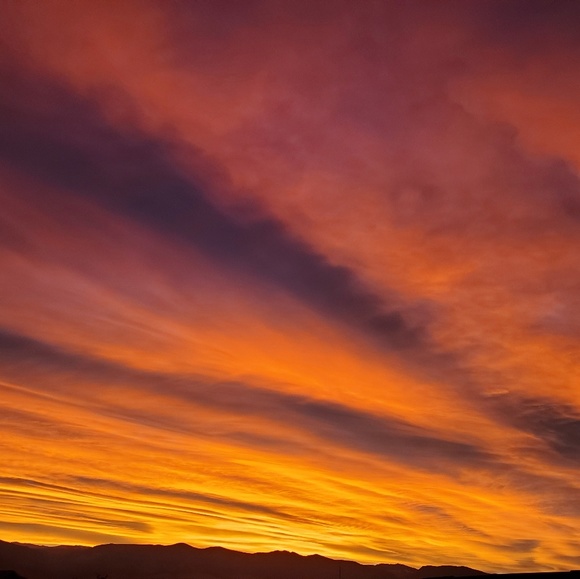 Meet your Posher, Sophia - Picture 4 of 5